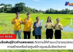 กำแพงเพชร-ศูนย์เมล็ดพันธุ์ข้าวกำแพงเพชร ติดตามให้คำแนะนำรายแปลงและดูแลการสร้างเครือข่ายศูนย์ข้าวชุมชนในจังหวัดตาก