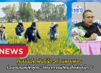กำแพงเพชร-ศูนย์เมล็ดพันธุ์ข้าวกำแพงเพชร ร่วมอบรมหลักสูตร “วิทยาการผลิตเมล็ดพันธุ์ข้าว” ณ โรงแรมแกรนด์ฮิลล์ รีสอร์ท แอนด์สปา จังหวัดนครสวรรค์