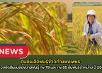 กำแพงเพชร-ศูนย์เมล็ดพันธุ์ข้าวกำแพงเพชร ตรวจตัดสินแปลงขยายพันธุ์ กข 79 และ กข 85 ชั้นพันธุ์จำหน่าย ปี 2569