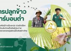 ศูนย์เมล็ดพันธุ์ข้าวสุพรรณบุรี จัดการส่งเสริมการจัดทำแปลงผลิตเมล็ดพันธุ์ข้าวด้วยวิธีการปลูกข้าวคาร์บอนต่ำ เพื่อลดผลกระทบ ต่อสิ่งแวดล้อม