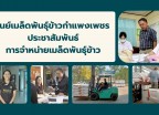 กำแพงเพชร-ศูนย์เมล็ดพันธุ์ข้าวกำแพงเพชร ประชาสัมพันธ์การจำหน่ายเมล็ดพันธุ์ข้าวให้แก่เกษตรกรและผู้ที่สนใจทั่วไป