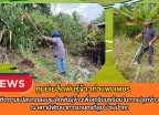 กำแพงเพชร-ศูนย์เมล็ดพันธุ์ข้าวกำแพงเพชร ติดตามแปลงทดสอบเมล็ดพันธุ์ข้าวเพื่อเตรียมพร้อมในการปลูกข้าว ณ สถานีพัฒนาการเกษตรที่สูง บ้านป่าคา