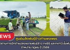 กำแพงเพชร-ศูนย์เมล็ดพันธุ์ข้าวกำแพงเพชร ติดตามการปักดำแปลงขยายพันธุ์ข้าว กข85 และกข113 ชั้นพันธุ์จำหน่าย ฤดูฝน ปี2569