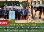 กำแพงเพชร-ศูนย์เมล็ดพันธุ์ข้าวกำแพงเพชร ร่วมกิจกรรมปลูกวันแม่ เกี่ยววันพ่อ กลุ่มเกษตรกรศูนย์ข้าวชุมชนบ้านบัวทอง