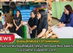 กำแพงเพชร-ศูนย์เมล็ดพันธุ์ข้าวกำแพงเพชร ติดตามร้านจำหน่ายเมล็ดพันธุ์ข้าวคุณภาพดี Good Rice Seed Shop