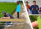 กำแพงเพชร-ศูนย์เมล็ดพันธุ์ข้าวกำแพงเพชร ติดตามให้คำแนะนำระบบควบคุมภายในแบบกลุ่มของเกษตรกร