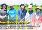 กำแพงเพชร-ศูนย์เมล็ดพันธุ์ข้าวกำแพงเพชร ติดตามร้านค้าจำหน่ายเมล็ดพันธุ์ข้าวคุณภาพดี Good Rice Seed Shop