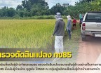 กำแพงเพชร-ศูนย์เมล็ดพันธุ์ข้าวกำแพงเพชร ตรวจตัดสินแปลงขยายพันธุ์ข้าวอย่างเป็นทางการ กข85 ชั้นพันธุ์จำหน่าย ฤดูฝน ปี2569