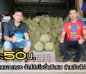 กำแพงเพชร-ทุเรียนหมอนทองขายกิโลกรัมละ 50 ถึง 89 บาท โปรโมชั่นพิเศษสำหรับสัปดาห์นี้ ณ สวนทุเรียนสุขนาบูรณ์กำแพงเพชร
