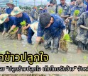กำแพงเพชร-ศูนย์เมล็ดพันธุ์ข้าวกำแพงเพชร จัดกิจกรรม “ปลูกข้าวปลูกใจ เด็กไทยรักข้าว”