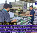 กำแพงเพชร-ศูนย์เมล็ดพันธุ์ข้าวกำแพงเพชร ติดตามโครงการเพิ่มประสิทธิภาพการผลิตข้าวของเกษตรกรผู้ประสบอุทกภัย ภายใต้โครงการฟื้นฟูเกษตรกรผู้ประสบอุทกภัย ปี 2567