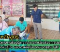 กำแพงเพชร-ศูนย์เมล็ดพันธุ์ข้าวกำแพงเพชร อบรมหลักสูตรการเรียนรู้ตามกระบวนการโรงเรียนเกษตรกรด้านการผลิตเมล็ดพันธุ์ข้าว และการผลิตข้าวตามมาตรฐาน GAP ด้าน ICS