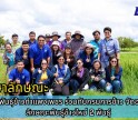 กำแพงเพชร-ศูนย์เมล็ดพันธุ์ข้าวกำแพงเพชร ร่วมกับกรมการข้าว จัดอบรมศึกษาลักษณะพันธุ์ข้าวใหม่ 2 พันธุ์