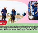 กำแพงเพชร-หัวหน้าส่วนราชการและพุทธศาสนิกชนร่วมดำนาบุญ ตามโครงการชุมชนคุณธรรมวิถีไทย ตามรอยพ่ออย่างพอเพียง ณ วัดป่าไทรงาม