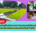 กำแพงเพชร-ศูนย์เมล็ดพันธุ์ข้าวกำแพงเพชร ติดตามการดำเนินงานโครงการระบบส่งเสริมเกษตรแบบแปลงใหญ่ ปี 2569