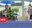 กำแพงเพชร-ศูนย์เมล็ดพันธุ์ข้าวกำแพงเพชร สำรวจแปลงผลิตเมล็ดพันธุ์ข้าวฤดูแล้ง ปี 2569 ณ แปลงใหญ่ข้าว หมู่ 7 ตำบลหนองหลวง
