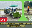 กำแพงเพชร-ศูนย์เมล็ดพันธุ์ข้าวกำแพงเพชร ติดตามแผนการปักดำ ข้าวพันธุ์ กข 85 สำหรับฤดูแล้ง ปี 2569