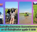 กำแพงเพชร-ศูนย์เมล็ดพันธุ์ข้าวกำแพงเพชร ติดตามแปลงขยายพันธุ์ข้าว กข 85 ชั้นพันธุ์จำหน่าย ฤดูแล้ง ปี 2569