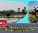 กำแพงเพชร-ศูนย์เมล็ดพันธุ์ข้าวกำแพงเพชร ติดตามแปลงขยายพันธุ์ข้าว กข 85 ชั้นพันธุ์จำหน่าย ฤดูแล้ง ปี 2569
