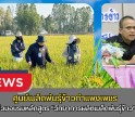 กำแพงเพชร-ศูนย์เมล็ดพันธุ์ข้าวกำแพงเพชร ร่วมอบรมหลักสูตร “วิทยาการผลิตเมล็ดพันธุ์ข้าว” ณ โรงแรมแกรนด์ฮิลล์ รีสอร์ท แอนด์สปา จังหวัดนครสวรรค์