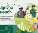 ศูนย์เมล็ดพันธุ์ข้าวสุพรรณบุรี จัดการส่งเสริมการจัดทำแปลงผลิตเมล็ดพันธุ์ข้าวด้วยวิธีการปลูกข้าวคาร์บอนต่ำ เพื่อลดผลกระทบ ต่อสิ่งแวดล้อม