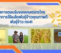 ผลการตอบรับของเกษตรกรไทย จากการใช้เมล็ดพันธุ์ข้าวคุณภาพดี พันธุ์ข้าว กข41 ให้ผลผลิตสูง มีความแข็งแรง และทนทานต่อโรคแมลง ตอบสนองต่อความต้องการของชาวนาเป็นอย่างดี