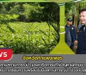 กำแพงเพชร-ผู้ว่าราชการจังหวัดกำแพงเพชร ลงพื้นที่ติดตามสถานการณ์น้ำ และหารือการแก้ไขปัญหาผักตบชวาและวัชพืชในแหล่งน้ำ เตรียมความพร้อมรับมือสถานการณ์น้ำ ช่วงเข้าสู่ฤดูฝน