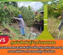 กำแพงเพชร-ศูนย์เมล็ดพันธุ์ข้าวกำแพงเพชร ติดตามแปลงทดสอบเมล็ดพันธุ์ข้าวเพื่อเตรียมพร้อมในการปลูกข้าว ณ สถานีพัฒนาการเกษตรที่สูง บ้านป่าคา