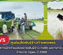 กำแพงเพชร-ศูนย์เมล็ดพันธุ์ข้าวกำแพงเพชร ติดตามการปักดำแปลงขยายพันธุ์ข้าว กข85 และกข113 ชั้นพันธุ์จำหน่าย ฤดูฝน ปี2569