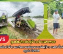 กำแพงเพชร-ศูนย์เมล็ดพันธุ์ข้าวกำแพงเพชร ติดตามการปักดำข้าว และติดตามแปลงขยายพันธุ์ข้าว กข85 ชั้นพันธุ์ขยาย ฤดูฝน ปี2569