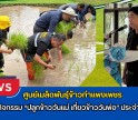 กำแพงเพชร-ศูนย์เมล็ดพันธุ์ข้าวกำแพงเพชร เข้าร่วมกิจกรรม “ปลูกข้าววันแม่ เกี่ยวข้าววันพ่อ” ประจำปี 2569