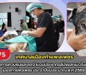 กำแพงเพชร-เทศบาลเมืองกำแพงเพชร จัดทำโครงการควบคุมและลดจำนวนประชากรสุนัขและแมวในเขตเทศบาลเมืองกำแพงเพชร ประจำปีงบประมาณ พ.ศ.2569