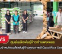 กำแพงเพชร-ศูนย์เมล็ดพันธุ์ข้าวกำแพงเพชร ติดตามร้านจำหน่ายเมล็ดพันธุ์ข้าวคุณภาพดี Good Rice Seed Shop