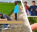 กำแพงเพชร-ศูนย์เมล็ดพันธุ์ข้าวกำแพงเพชร ติดตามให้คำแนะนำระบบควบคุมภายในแบบกลุ่มของเกษตรกร