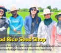 กำแพงเพชร-ศูนย์เมล็ดพันธุ์ข้าวกำแพงเพชร ติดตามร้านค้าจำหน่ายเมล็ดพันธุ์ข้าวคุณภาพดี Good Rice Seed Shop