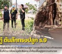 กำแพงเพชร-เร่งกู้ “ต้นสักทรงปลูก” ร.9 ศูนย์รวมใจชาวกำแพงเพชร รองผู้ว่าฯ นำทีมลงพื้นที่ด่วน หลังพายุพัดเสียหาย ย้ำต้องฟื้นฟูสุดความสามารถ