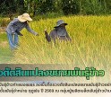 กำแพงเพชร-ศูนย์เมล็ดพันธุ์ข้าวกำแพงเพชร ลงพื้นที่ตรวจตัดสินแปลงขยายพันธุ์ข้าวอย่างเป็นทางการ ข้าว กข85 ชั้นพันธุ์จำหน่าย ฤดูฝน ปี 2569