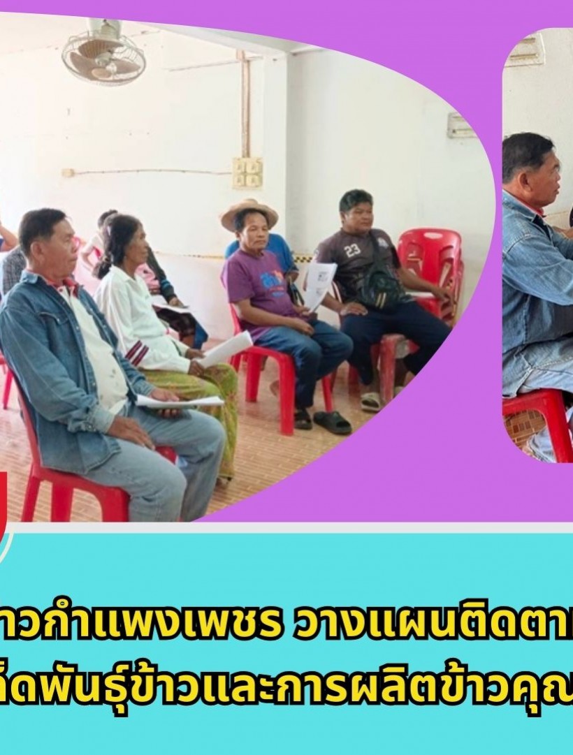 กำแพงเพชร-ศูนย์เมล็ดพันธุ์ข้าวกำแพงเพชร วางแผนติดตามให้คำแนะนำการผลิตเมล็ดพันธุ์ข้าวและการผลิตข้าวคุณภาพดี