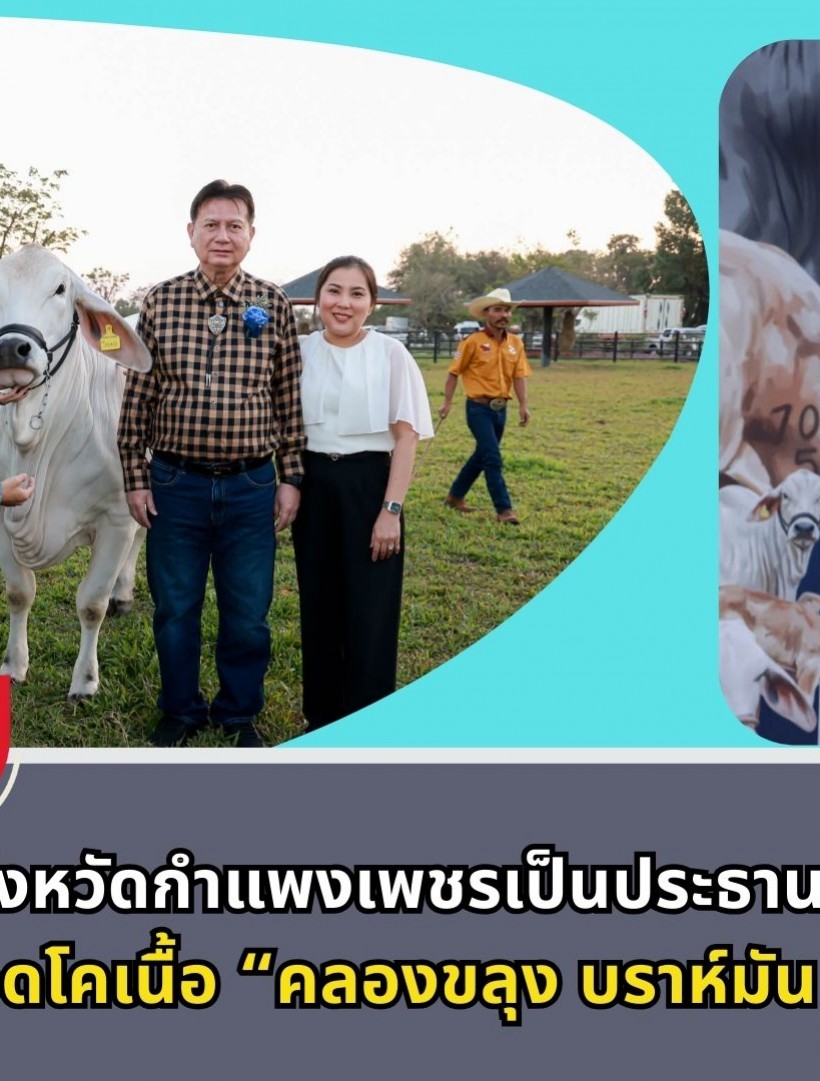 กำแพงเพชร-ผู้ว่าราชการจังหวัดกำแพงเพชรเป็นประธานการแถลงข่าวการจัดงานประกวดโคเนื้อ คลองขลุง บราห์มัน โชว์เคส 2026 ชิงถ้วยพระราชทาน สมเด็จพระกนิษฐาธิราชเจ้า กรมสมเด็จพระเทพรัตนราชสุดาฯ สยามบรมราชกุมารี