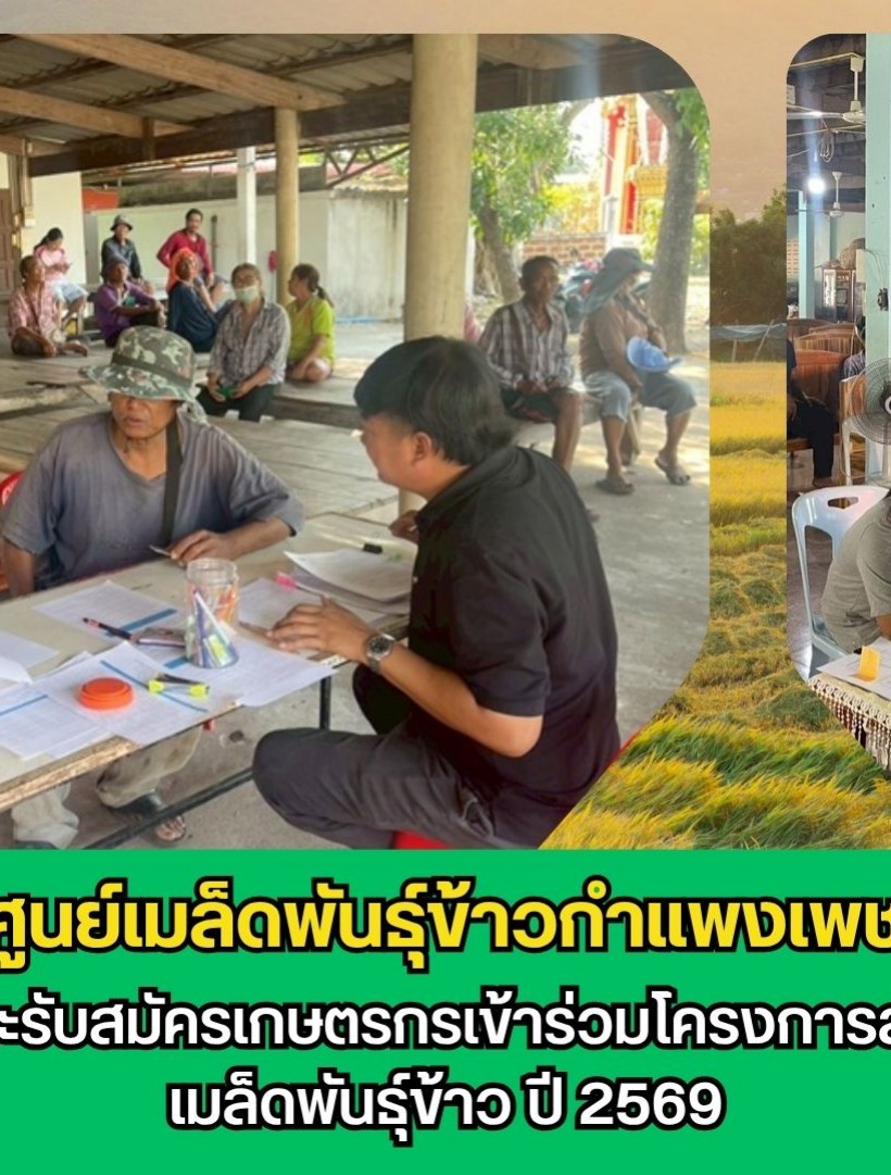 กำแพงเพชร-ศูนย์เมล็ดพันธุ์ข้าวกำแพงเพชร ประชาสัมพันธ์ และรับสมัครเกษตรกรเข้าร่วมโครงการส่งเสริมการเปลี่ยนเมล็ดพันธุ์ข้าว ปี 2569