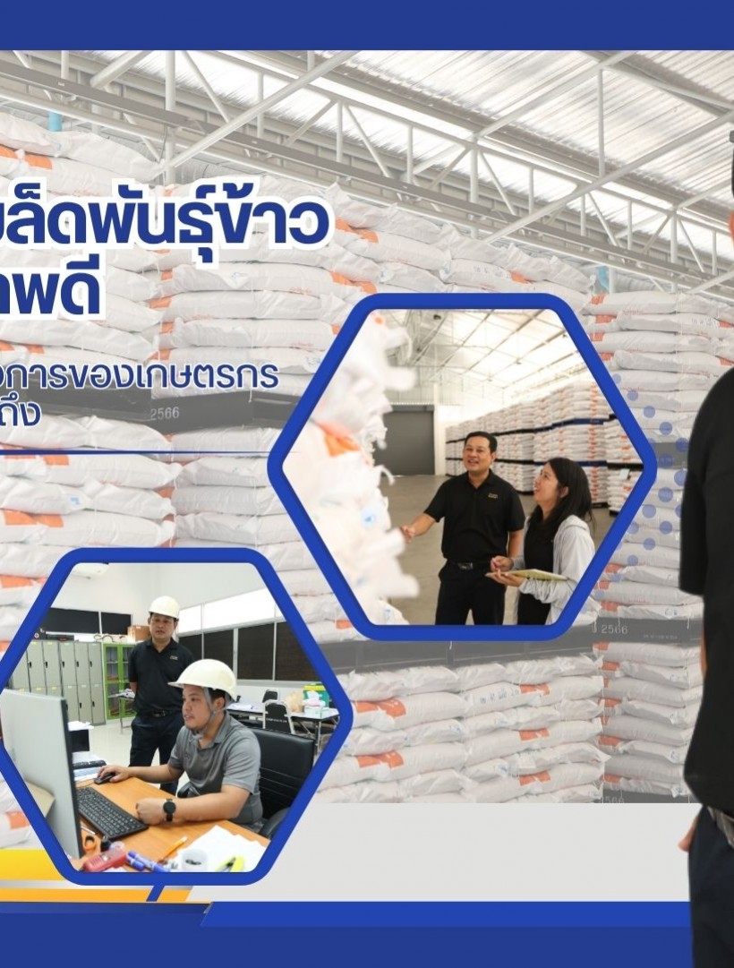 การกระจายเมล็ดพันธุ์ข้าวคุณภาพดี ให้เพียงพอต่อความต้องการของเกษตรกรอย่างทั่วถึง ของศูนย์เมล็ดพันธุ์ข้าวสุพรรณบุรี
