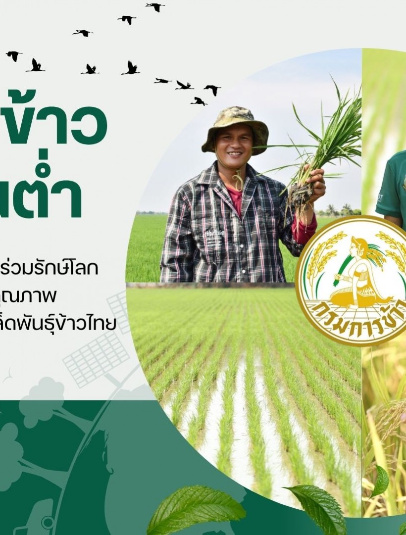 ศูนย์เมล็ดพันธุ์ข้าวสุพรรณบุรี จัดการส่งเสริมการจัดทำแปลงผลิตเมล็ดพันธุ์ข้าวด้วยวิธีการปลูกข้าวคาร์บอนต่ำ เพื่อลดผลกระทบ ต่อสิ่งแวดล้อม