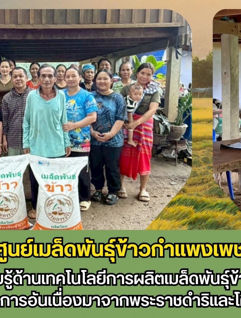 กำแพงเพชร-ศูนย์เมล็ดพันธุ์ข้าวกำเเพงเพชร จัดประชุมถ่ายทอดความรู้ด้านเทคโนโลยีการผลิตเมล็ดพันธุ์ข้าวและบริการวิชาการด้านข้าว