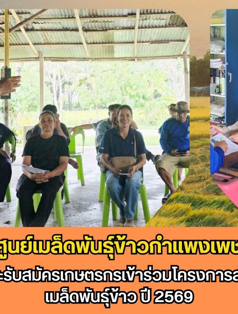 กำแพงเพชร-ศูนย์เมล็ดพันธุ์ข้าวกำแพงเพชร ประชาสัมพันธ์และรับสมัครเกษตรกรเข้าร่วมโครงการส่งเสริมการเปลี่ยนเมล็ดพันธุ์ข้าว ปี 2569
