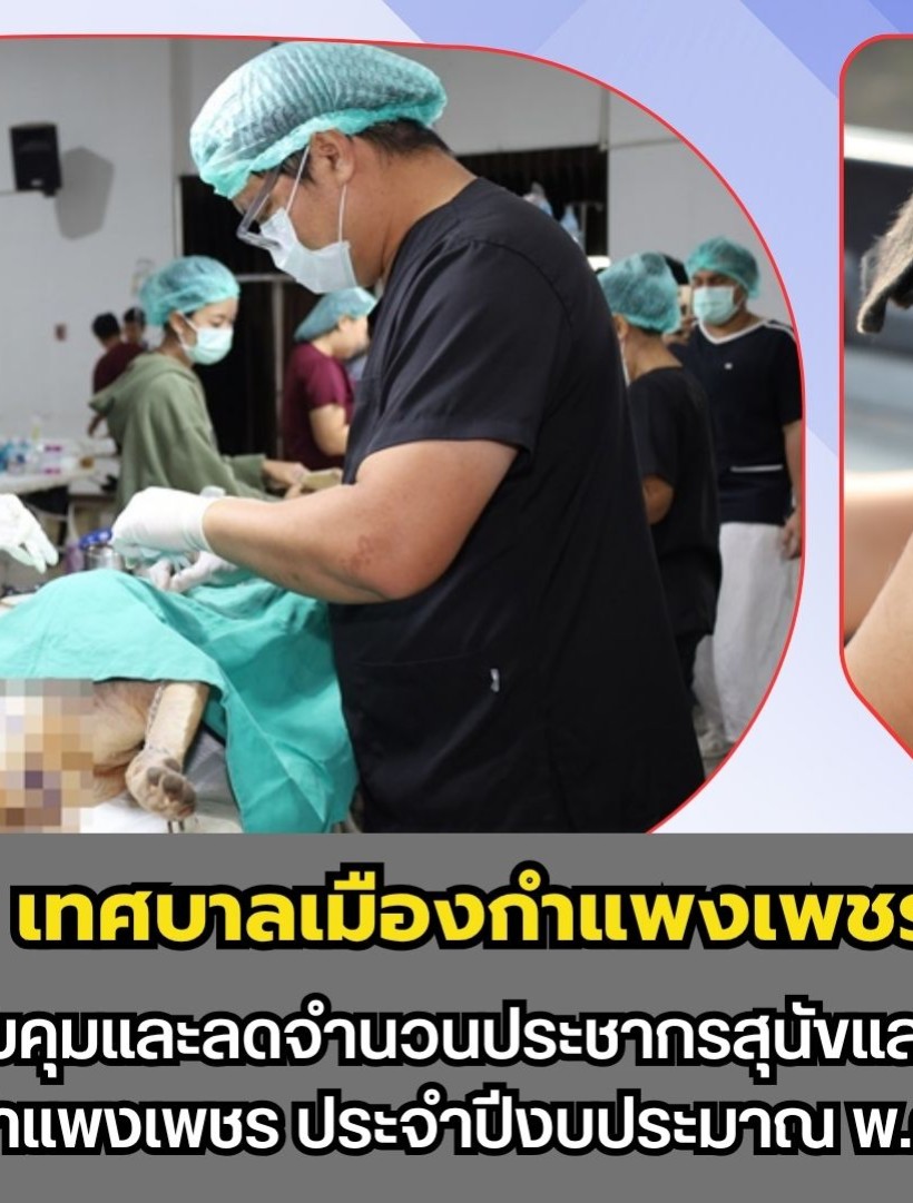 กำแพงเพชร-เทศบาลเมืองกำแพงเพชร จัดทำโครงการควบคุมและลดจำนวนประชากรสุนัขและแมวในเขตเทศบาลเมืองกำแพงเพชร ประจำปีงบประมาณ พ.ศ.2569