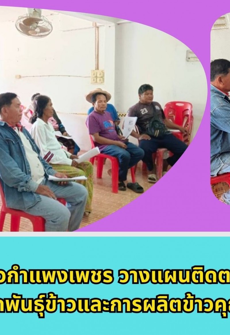 กำแพงเพชร-ศูนย์เมล็ดพันธุ์ข้าวกำแพงเพชร วางแผนติดตามให้คำแนะนำการผลิตเมล็ดพันธุ์ข้าวและการผลิตข้าวคุณภาพดี