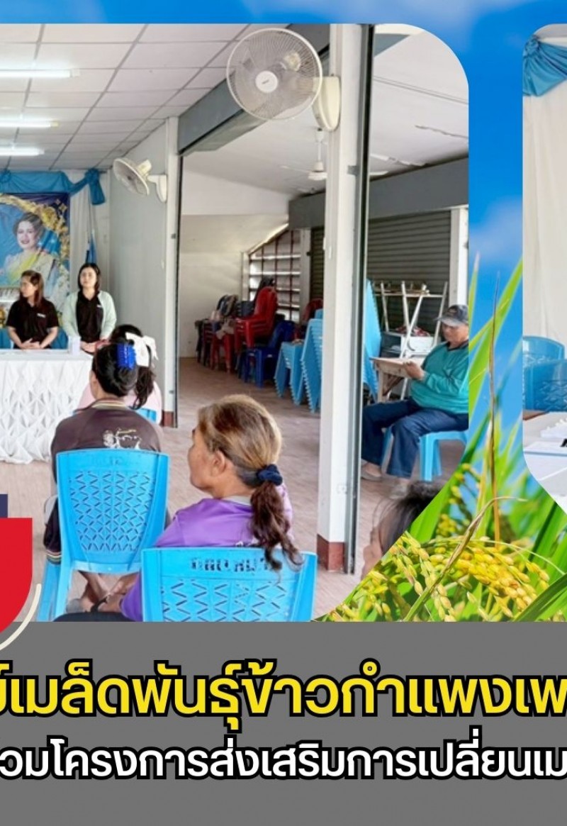 กำแพงเพชร-ศูนย์เมล็ดพันธุ์ข้าวกำแพงเพชร ประชาสัมพันธ์และรับสมัครเกษตรกรเข้าร่วมโครงการส่งเสริมการเปลี่ยนเมล็ดพันธุ์ข้าว ปี 2569
