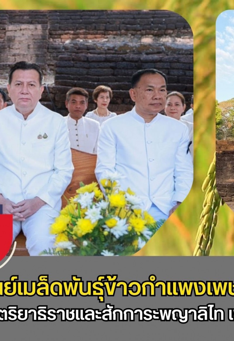 กำแพงเพชร-ศูนย์เมล็ดพันธุ์ข้าวกำแพงเพชร ร่วมพิธีบวงสรวงอดีตกษัตริยาธิราชและสักการะพญาลิไท เพื่อความเป็นสิริมงคลก่อนเริ่มงาน 