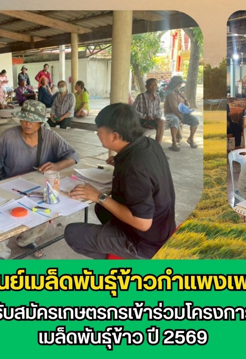 กำแพงเพชร-ศูนย์เมล็ดพันธุ์ข้าวกำแพงเพชร ประชาสัมพันธ์ และรับสมัครเกษตรกรเข้าร่วมโครงการส่งเสริมการเปลี่ยนเมล็ดพันธุ์ข้าว ปี 2569