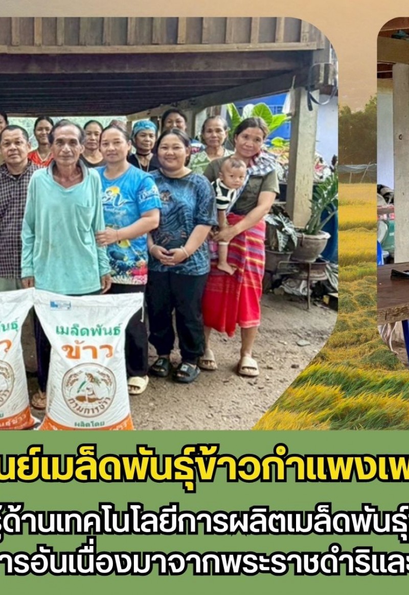 กำแพงเพชร-ศูนย์เมล็ดพันธุ์ข้าวกำเเพงเพชร จัดประชุมถ่ายทอดความรู้ด้านเทคโนโลยีการผลิตเมล็ดพันธุ์ข้าวและบริการวิชาการด้านข้าว